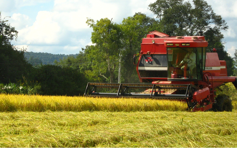 Atuacao_em_AgroIndustria